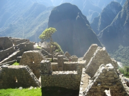 Dentro de Machu Picchu. Within Machu Picchu. In Machu Picchu.