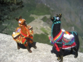 Reunión de aplacas encima del Wayna Picchu. Alpaca meeting at Wayna Picchu. Alpaka-Zusammenkunft auf dem Wayna Picchu.