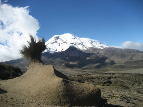 Formas raras del páramo con el Volcán Chimborazo (6310 m) al fondo. Bizarre páramo shapes with Chimborazo Volcano (6310 m) at the back. Bizarre Formen des Páramo mit dem Chimborazo-Vulkan (6310 m) im Hintergrund.